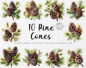 10 Christmas Pine Cones ClipArt, Watercolor Christmas Pine Cones PNG, Pine Tree PNG, Christmas Tree, Christmas decor, Greenery,Christmas PNG