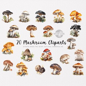 20 Setas ClipArt, Setas PNG, Ilustración de setas, ClipArt de setas, Setas del bosque, Setas del bosque, Setas de acuarela