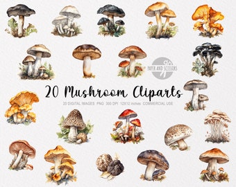 20 imágenes prediseñadas de setas, setas PNG, ilustración de setas, imágenes prediseñadas de setas, setas del bosque, setas de la arboleda, setas en acuarela