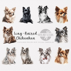 Langhaarige Chihuahua Clipart, Langhaarige Chihuahua PNG, Chihuahua Illustration, Hund Clipart, Hund PNG, Hund Aquarell, Hund Wandkunst, Druck