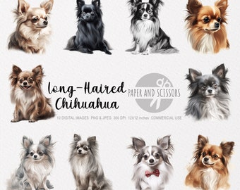 Long-Haired Chihuahua Clipart, Long-Haired Chihuahua PNG, Chihuahua illustration, Dog Clipart, Dog PNG, Dog Watercolor, Dog Wall Art, Print