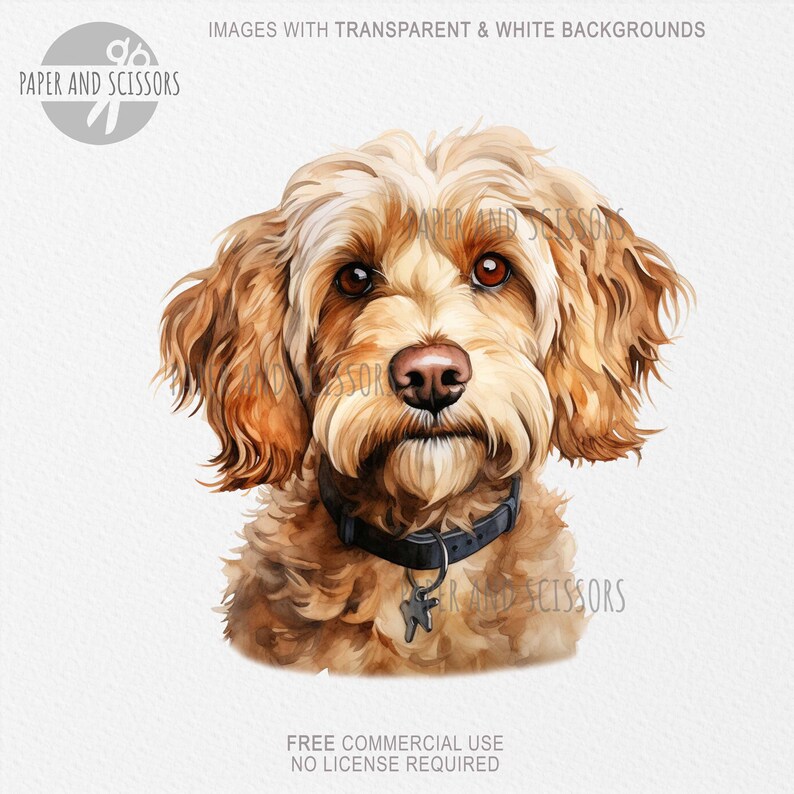 Cockapoo Clipart, Cockapoo PNG, Cockapoo Illustration, Dog Clipart ...