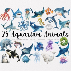 25 個の水族館のクリップアート、海中の水彩画 PNG、ベビーシャワーの壁アート、子供部屋の装飾、かわいい海の動物、ステッカー、クジラ、サメ、シャチ