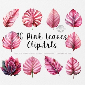 10 Rosa Dschungel-Blätter ClipArt, Dschungel-Blätter PNG, Blätter Illustration, Aquarell Blatt, Blumen PNG, Dschungel ClipArt, Monstera, Banane