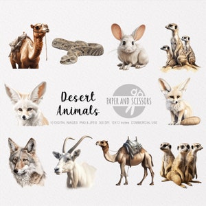 Desert Animals Clipart, Desert Animals PNG, Desert illustration, Transparent background, Instant download, Digital art, Wall Art 12x12