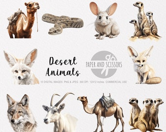 Desert Animals Clipart, Desert Animals PNG, Desert illustratie, Transparante achtergrond, Instant download, Digitale kunst, Wall Art 12x12