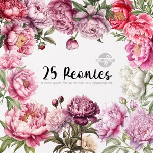 25 Peônias ClipArt, Peônias PNG, Ilustração de peônias, Peônias aquarela, PNG floral, ClipArt de flores, PNG de flores, Peônias rosa