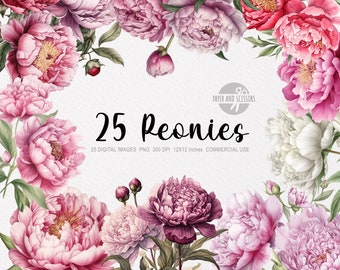 25 Peonies ClipArt, Peonies PNG, Peonies illustration, Watercolor Peonies, Floral PNG, Flowers ClipArt, Flowers PNG, Pink Peonies
