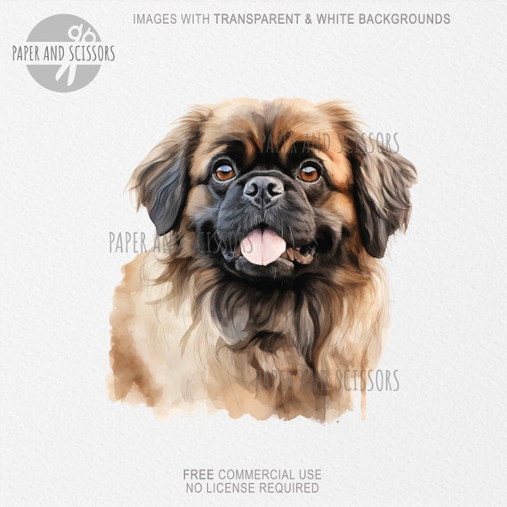 Pekingese Dog Clipart, Pekingese PNG, Pekingese Illustration, Dog