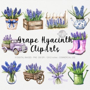 10 cliparts jacinthes de raisin, fleur PNG, illustration de printemps, impression bohème aquarelle, décoration florale, jardin, Pâques Cottagecore, art de jardinage