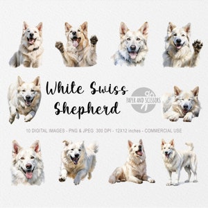 Weißer Schweizer Schäferhund Clipart, Schäferhund PNG, Schäferhund Illustration, Hund Clipart, transparenter Hintergrund, Sofort Download, Aquarell Hund
