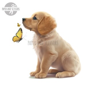May include: A golden retriever puppy sits on a white background, looking up and to the left. Two yellow butterflies are flying near the puppy's head.
