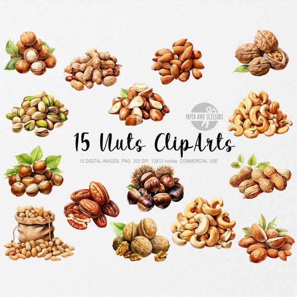 15 Nuts ClipArt, Nuts PNG, Nuts illustration, Watercolor Nuts, Nuts Bundle, Peanuts, Almonds, Walnuts, Hazelnuts, Pistachios Cliparts