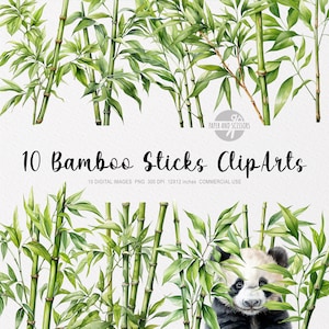 10 palos de bambú ClipArt, palos de bambú PNG, ilustración de palo de bambú, palos de bambú de acuarela, bambú PNG, imágenes prediseñadas de bambú