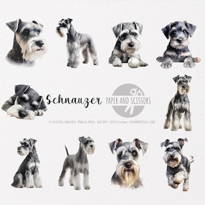 Schnauzer clipart, Schnauzer PNG, Schnauzer illustratie, hond clipart, hond PNG, hond aquarel, hond kunst aan de muur, hondenliefhebber