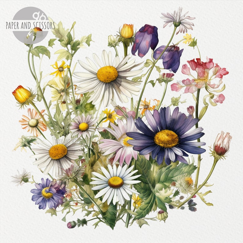 May include: A watercolor painting of a bouquet of flowers, featuring various shades of purple, blue, pink, white, and yellow. The flowers are arranged in a loose, natural style, with some stems overlapping and others extending out from the center. The background is a soft white.