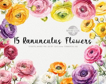 15 Ranunculus Flowers ClipArt, Ranunculus PNG, Ranunculus illustration, Watercolor Flowers, Floral PNG, Flowers ClipArt, Flowers PNG, Roses