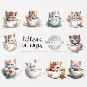 Kittens in Cups Clipart, Kittens PNG, Kittens illustration, Cat Clipart, Cat PNG, Cat Watercolor, Cat Wall Art, Cat lover, Funny Cat, Cute