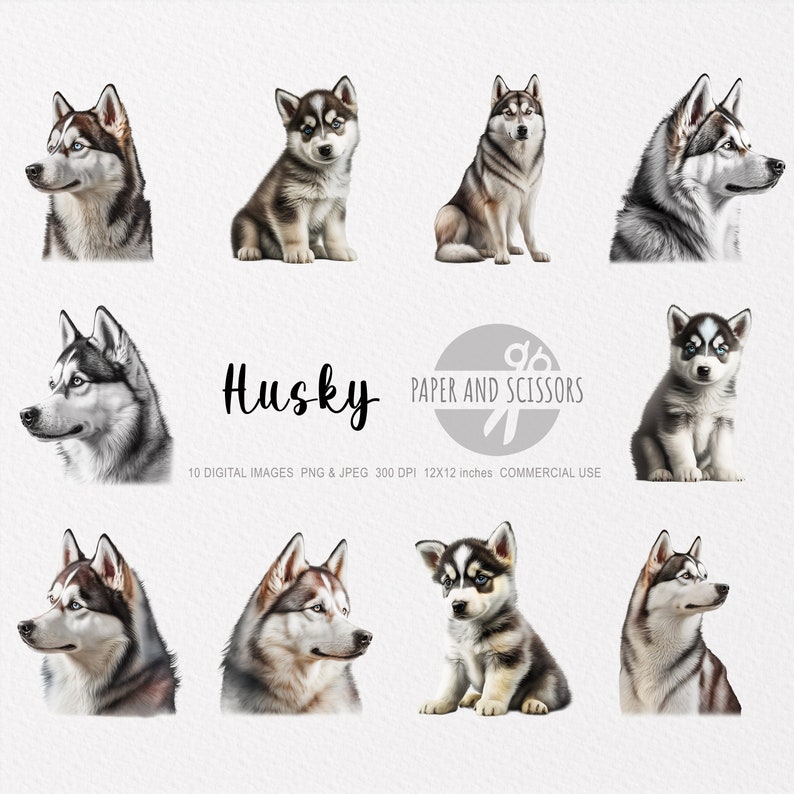 Husky Dog Clipart Husky PNG Husky Illustration Husky - Etsy