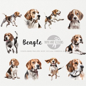 Beagle Clipart, Beagle PNG, Beagle Illustration, Dog Clipart, Dog PNG ...