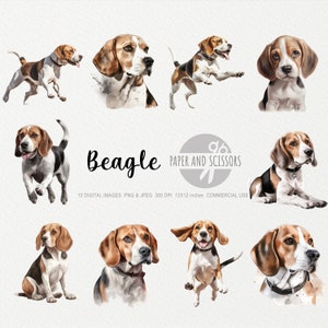 Beagle Clipart, Beagle PNG, Beagle illustration, Dog Clipart, Dog PNG, Dog Watercolor, Dog Wall Art, Dog lover, Beagle Dog portrait, Pet