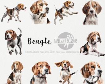 Imágenes Prediseñadas de Beagle, Beagle PNG, ilustración de Beagle, imágenes prediseñadas de perro, PNG de perro, acuarela de perro, arte de pared de perro, amante de los perros, retrato de perro Beagle, mascota