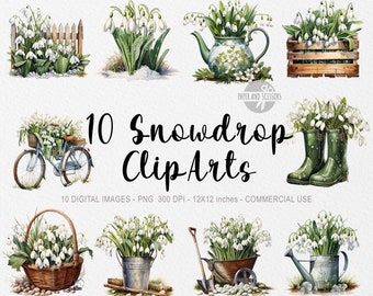 10 Snowdrops ClipArt, Snowdrops PNG, Snowdrops illustration, Watercolor Flowers, Floral PNG, Flowers ClipArt, Flowers PNG, Spring Clipart