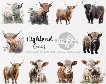 Highland Cows Clipart, Highland Cows PNG, Cow illustration, Cow Clipart, Cow Wall Art, Nursery wall art, Transparent background, Digital art