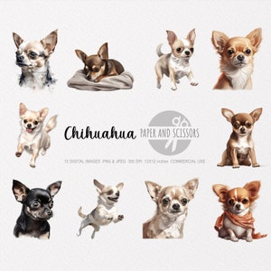 Chihuahua Watercolor Clipart, Chihuahua PNG, Chihuahua illustration, Chihuahua Wall Art, Chihuahua Watercolor, Dog clipart, Dog PNG, Dog JPG