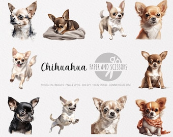 Chihuahua Watercolor Clipart, Chihuahua PNG, Chihuahua illustration, Chihuahua Wall Art, Chihuahua Watercolor, Dog clipart, Dog PNG, Dog JPG