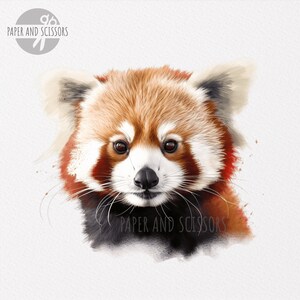 May include: A close-up portrait of a red panda with a white face and a black nose. The red panda has brown fur and a fluffy tail. The background is a light gray watercolor wash.