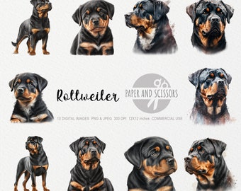 Rottweiler-Clipart, Rottweiler-PNG, Hundeillustration, Hunde-Clipart, Transparenter Hintergrund, Sofort-Download, Digitale Kunst, Wandbild 12x12