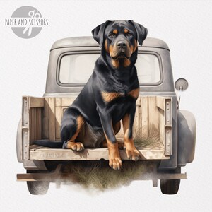 Pode incluir: Um c&atilde;o Rottweiler preto e castanho est&aacute; sentado na parte de tr&aacute;s de uma camioneta vintage cinza. A ca&ccedil;amba da camioneta &eacute; de madeira e tem uma grade de metal. O c&atilde;o est&aacute; olhando diretamente para a c&acirc;mera.