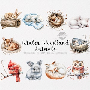 10 winter bos dieren illustraties, boho winter png, slapende schatjes, aquarel bos baby, decor kinderkamer baby shower, boskerst
