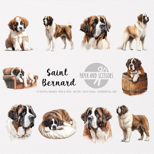 Saint Bernard Clipart, St. Bernard PNG, Saint Bernard illustration, Transparent background, Instant download, Digital art, Wall Art 12x12