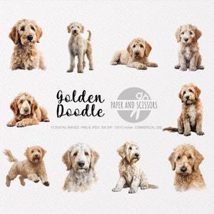 GoldenDoodle Clipart, Golden Doodle PNG, ilustração Golden Doodle, clipart de cachorro, PNG de cachorro, aquarela de cachorro, arte de parede de cachorro, amante de cachorro, Poodle