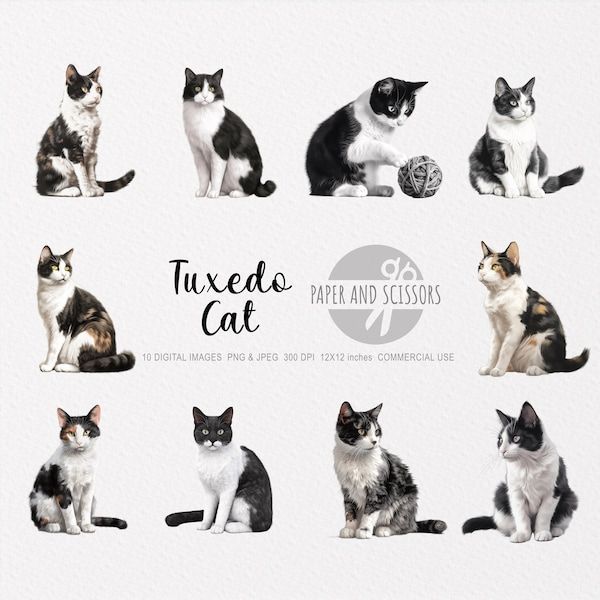 Tuxedo Cat ClipArt, Tuxedo Cat PNG, Cat illustration, Cat Cutout, Kitten ClipArt, Watercolor Cat, Kitten illustration, Black cat, White cat