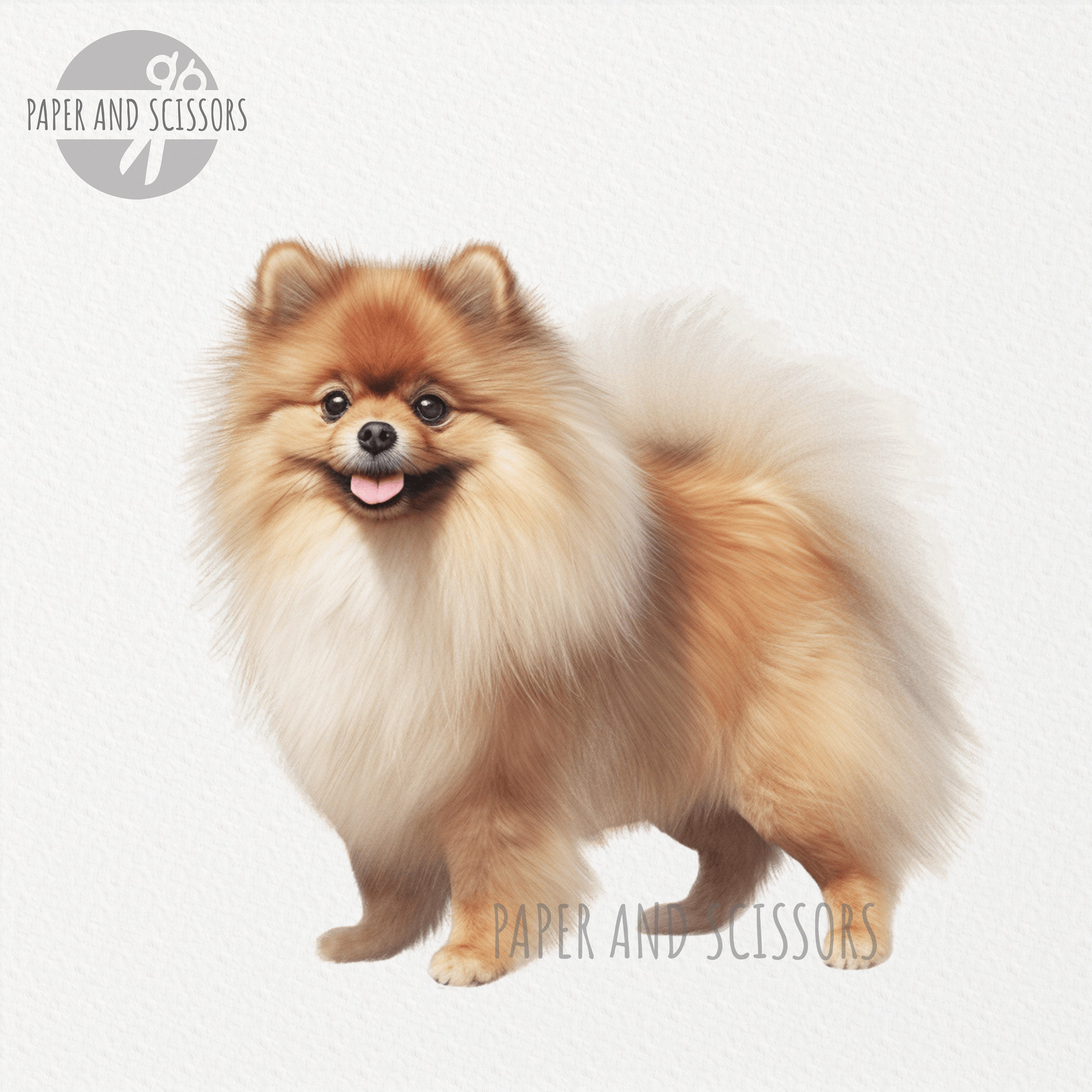TOP 10 BEST Dog Grooming in Clayton, NC - Updated 2026 - Yelp, image size:3000x3000