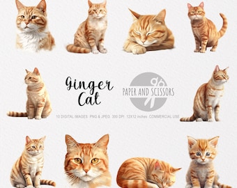 Ginger Cat Clipart, Ginger Cat PNG, Ginger Cat illustration, Cat Clipart, Cat PNG, Cat Watercolor, Cat Wall Art, Cat Wall Decor, Cat Print