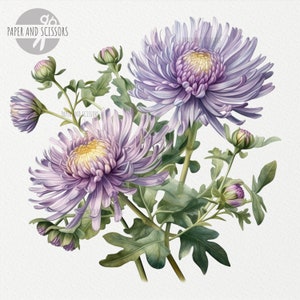 May include: A bouquet of purple chrysanthemums with green leaves. The flowers are in various stages of bloom, with some fully open and others still in bud.