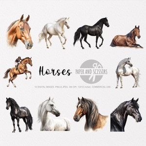Horse Clipart, Horse PNG, Horse illustration, Horse Watercolor, Horse Wall Art, Horse Wall Decor, Horse print, Horse lovers, Animal Clipart