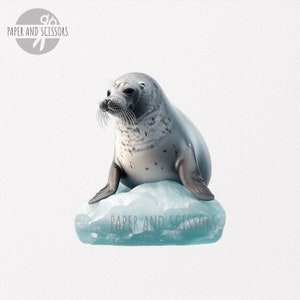 Puede incluir: Una cr&iacute;a de foca blanca y gris se sienta en un peque&ntilde;o trozo de hielo. La foca tiene ojos negros y una peque&ntilde;a nariz negra. El hielo es azul claro y tiene algunas grietas.