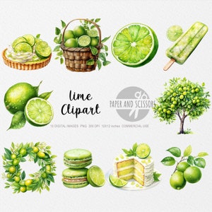 10 Limette ClipArts, Limette PNG, Limette Illustration, Aquarell Limette, Limette Illustration, Limette Bündel, Essen ClipArt, Obst ClipArt
