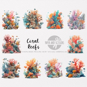 Coral Reefs Clipart, Coral Reefs PNG, Coral illustration, Coral Clipart, Transparent background, Instant download, Digital art, Art, 12x12