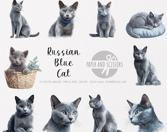 Russian Blue Cat Clipart, Russian Blue Cat PNG, Russian Blue Cat illustration, Cat Clipart, Cat PNG, Cat Watercolor, Cat Wall Art, Cat lover