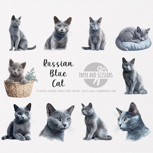 Russian Blue Cat Clipart, Russian Blue Cat PNG, Russian Blue Cat illustration, Cat Clipart, Cat PNG, Cat Watercolor, Cat Wall Art, Cat lover