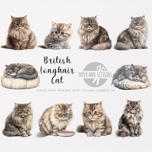 British Longhair Cat Clipart, British Longhair Cat PNG, Illustration de chat, Clipart chat, Chat PNG, Chat aquarelle, Art mural chat, les amoureux des chats