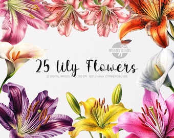 25 Lily ClipArt, Lily PNG, Lilies illustration, Watercolor Lilies, Floral PNG, Flowers ClipArt, Flowers PNG, Pink lilies, Yellow Lily