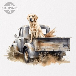 Pode incluir: Uma pintura em aquarela de um c&atilde;o golden retriever sentado na parte de tr&aacute;s de uma caminhonete vintage cinza. A ca&ccedil;amba da caminhonete est&aacute; cheia de caules de trigo secos.