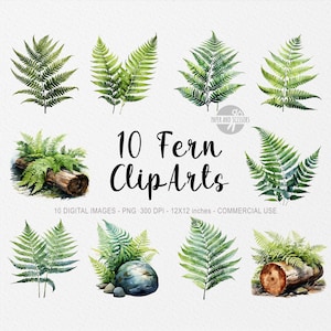 10 Fern ClipArts, Fern PNG, Illustration de fougère, Fleurs aquarelles, Floral PNG, Fleurs ClipArt, Fleurs PNG, Printemps Clipart, Printemps Png